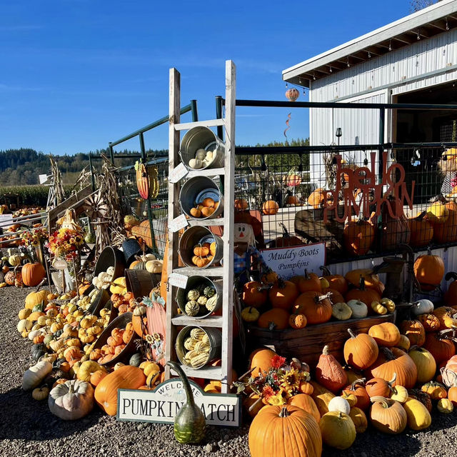 Spooky Halloween Attractions In the Haunted house