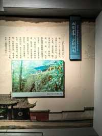 宦海沉浮  廉政惠民--蘇軾的跌宕人生（一）。