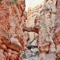 Grand Canyon National Park