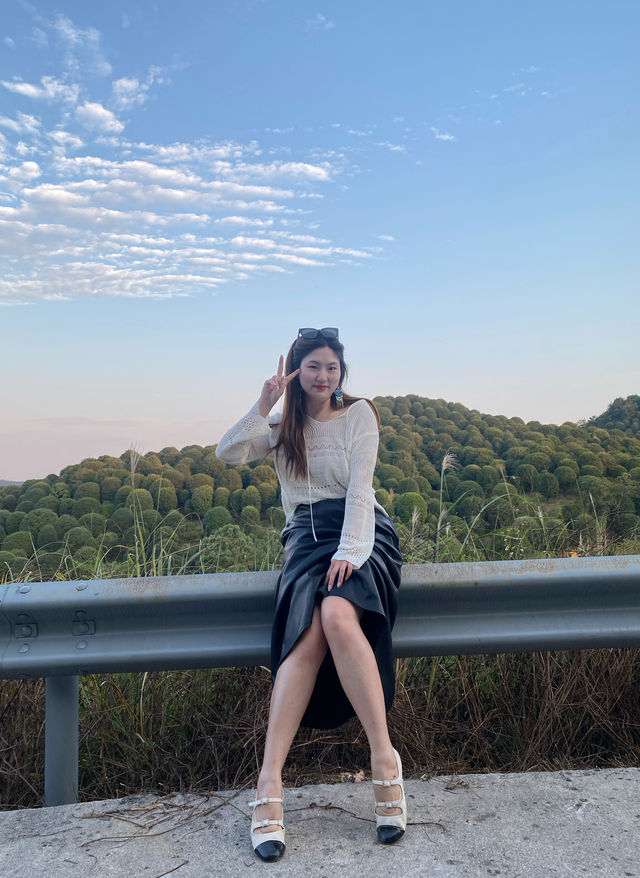 錯過這美景，又要等一年…。