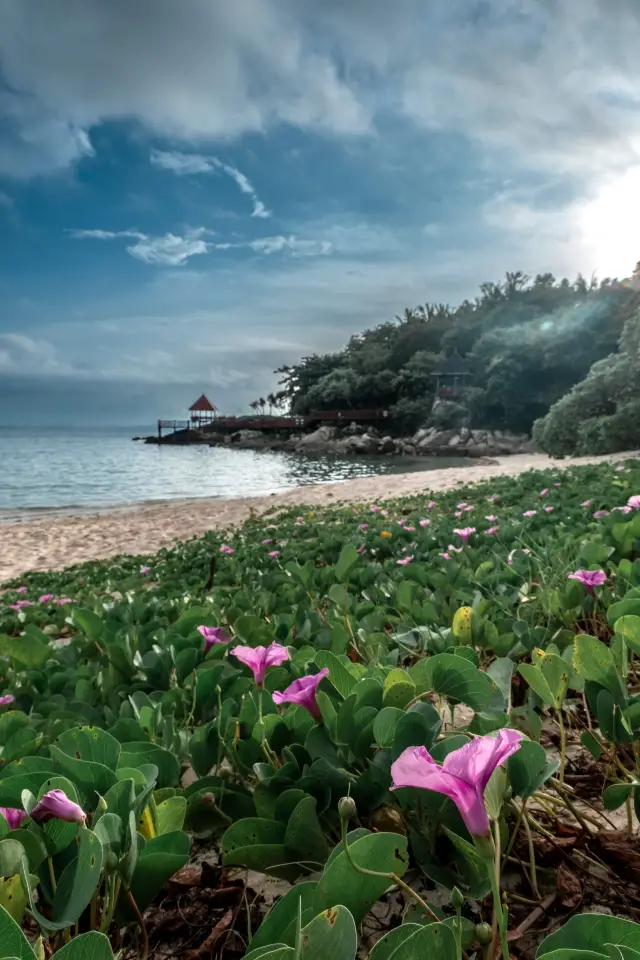 Impressions of Hainan
