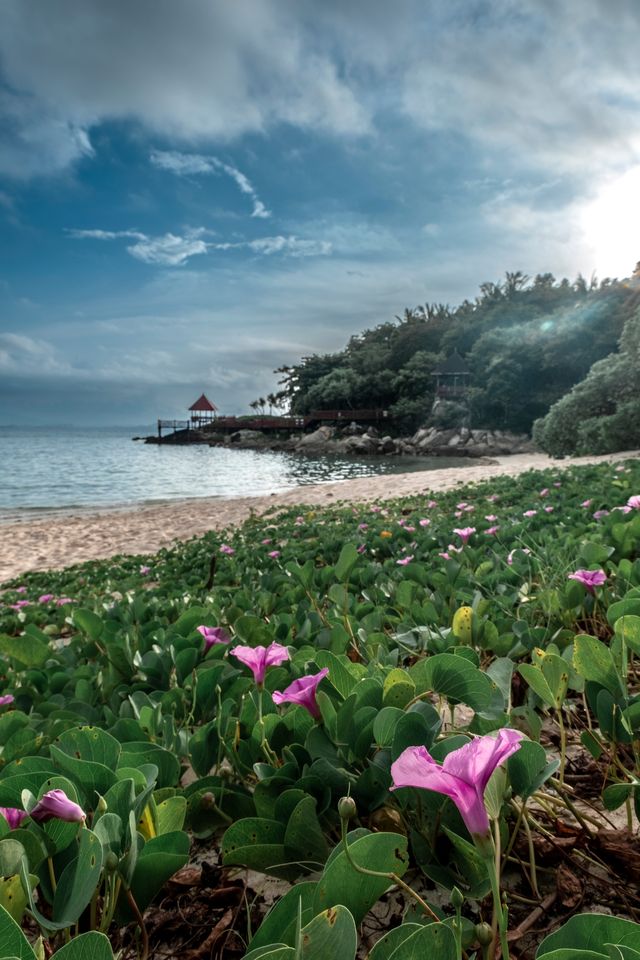 海南印象。