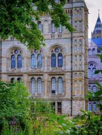 London Natural History Museum full of history 🇬🇧 