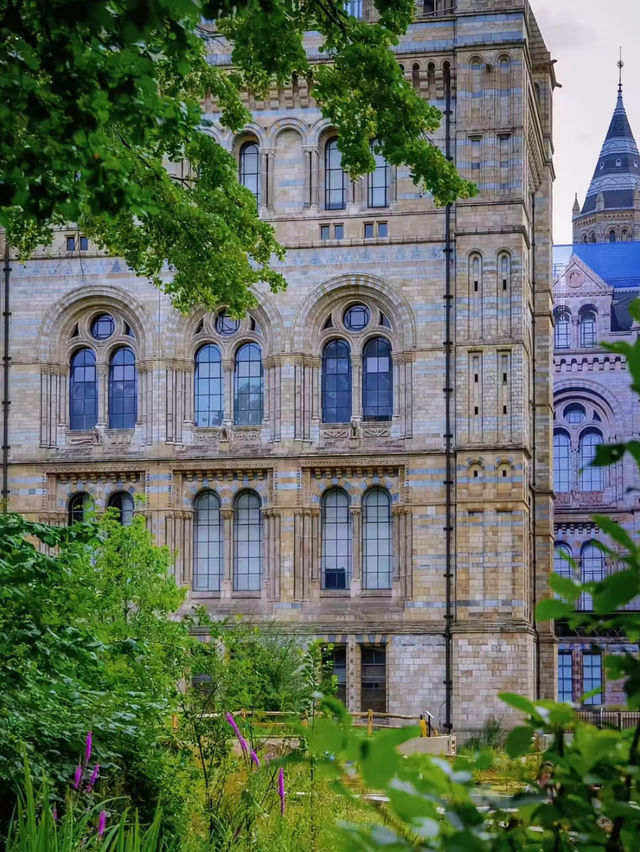 London Natural History Museum full of history 🇬🇧 