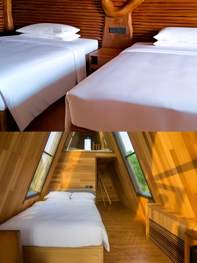住進南通森迪部落樹屋，邂逅童話夢境。
