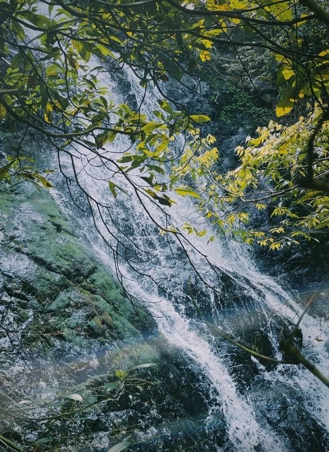 這麼漂亮的山有沒有人想去呢。。