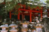 京都出發｜宇治．奈良 一日遊攻略來咯。