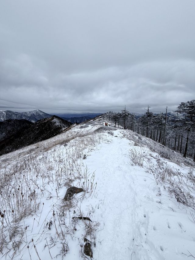 西安秦嶺東梁|雪後的東梁，如她的名字一樣別緻。