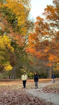 New York | Live Photos: Autumn Palette at Prospect Park