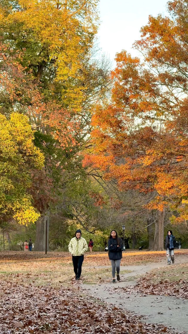 New York | Live Photos: Autumn Palette at Prospect Park
