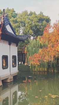 《心靈的慰藉之所：世間美景與人生哲思》。