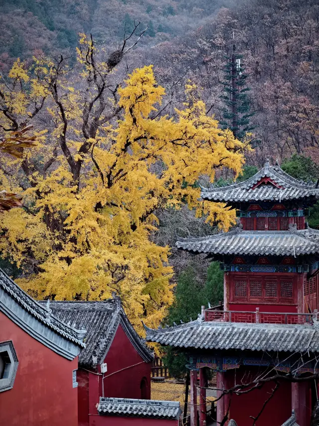 Fawang Temple Pagoda, Dengfeng, Henan