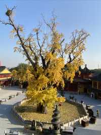 報國寺。