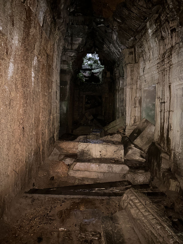 Exploring Angkor Wat at Night: The Deserted Ta Prohm Temple