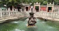 西安碑林博物館｜書法愛好者的終極朝聖地。