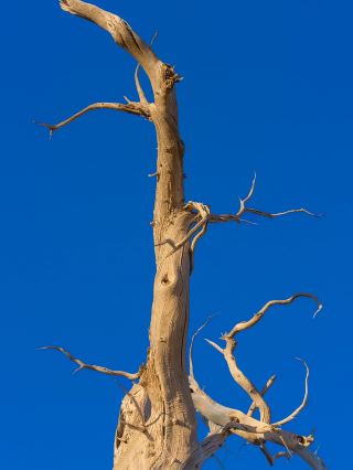 Winter Travel in Lanzhou-Jingtai-Badain Jaran Desert: A Complete Guide