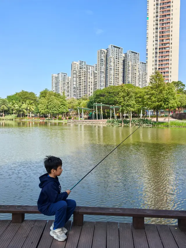 A newly developed park in Chencun! Camping, fishing, kite flying, and cycling all in one park