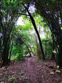 重訪貢井艾葉沙塘半島