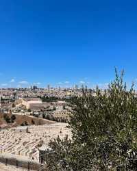 【聖地巡禮】探秘耶路撒冷：歷史與信仰的交匯點