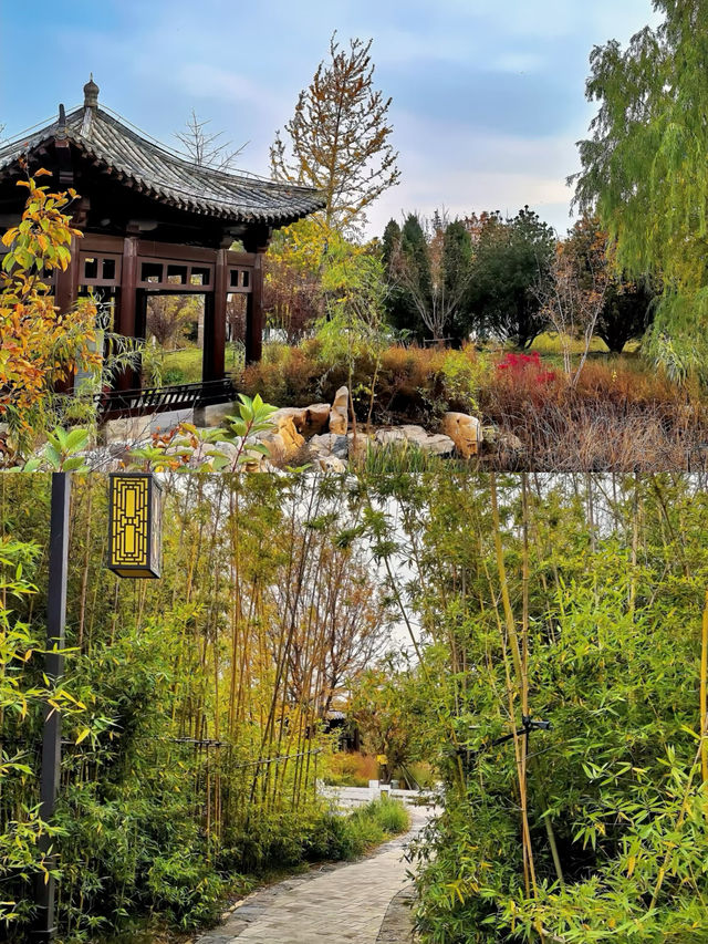 後悔才去滄州｜一座被嚴重低估的寶藏城市