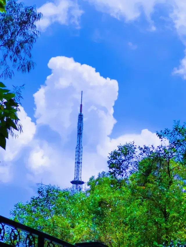 5-Day Guangzhou Itinerary: No Backtracking!