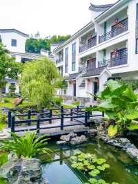禪宗尋根之旅✨——探訪六祖故里，感悟心靈寧靜🍃