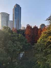 鏡中行旅