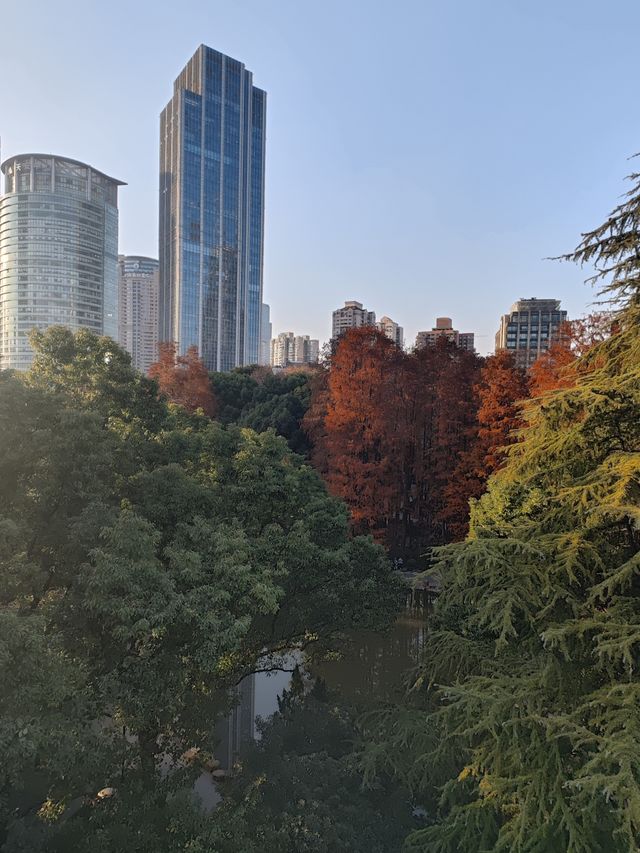 鏡中行旅