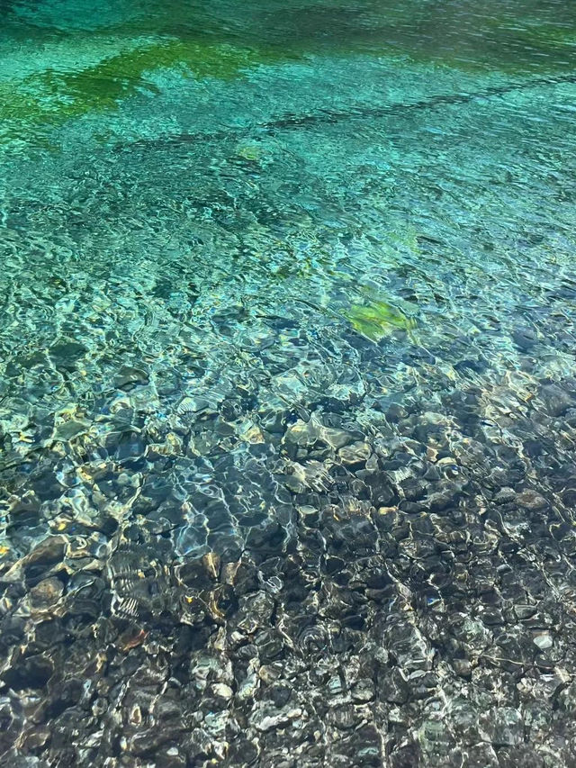 尼爾森藍湖——世界上最清澈的湖泊