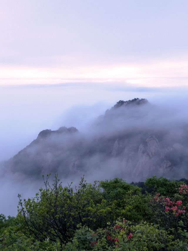 老友們的3天池州之旅 你不來悔了