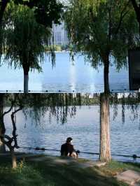 成都公園/週末遛娃露營好去處