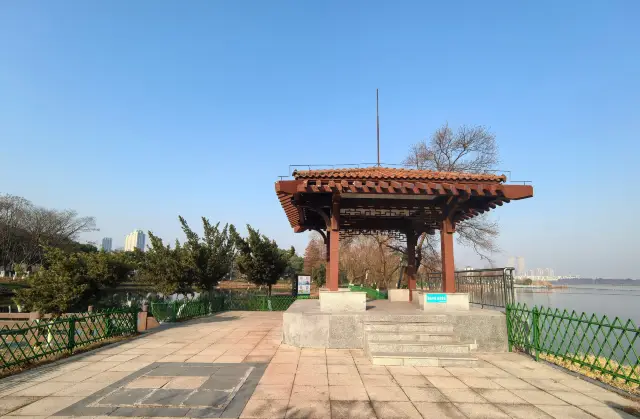 Jinyin Lake Wetland Park: Full of Life