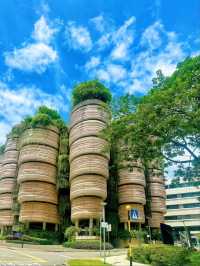 Nanyang Technological University 🇸🇬