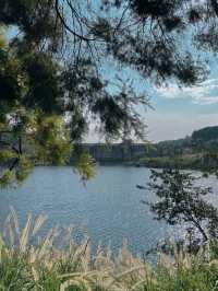 高山水庫變成了湖·高空步道美景盡收