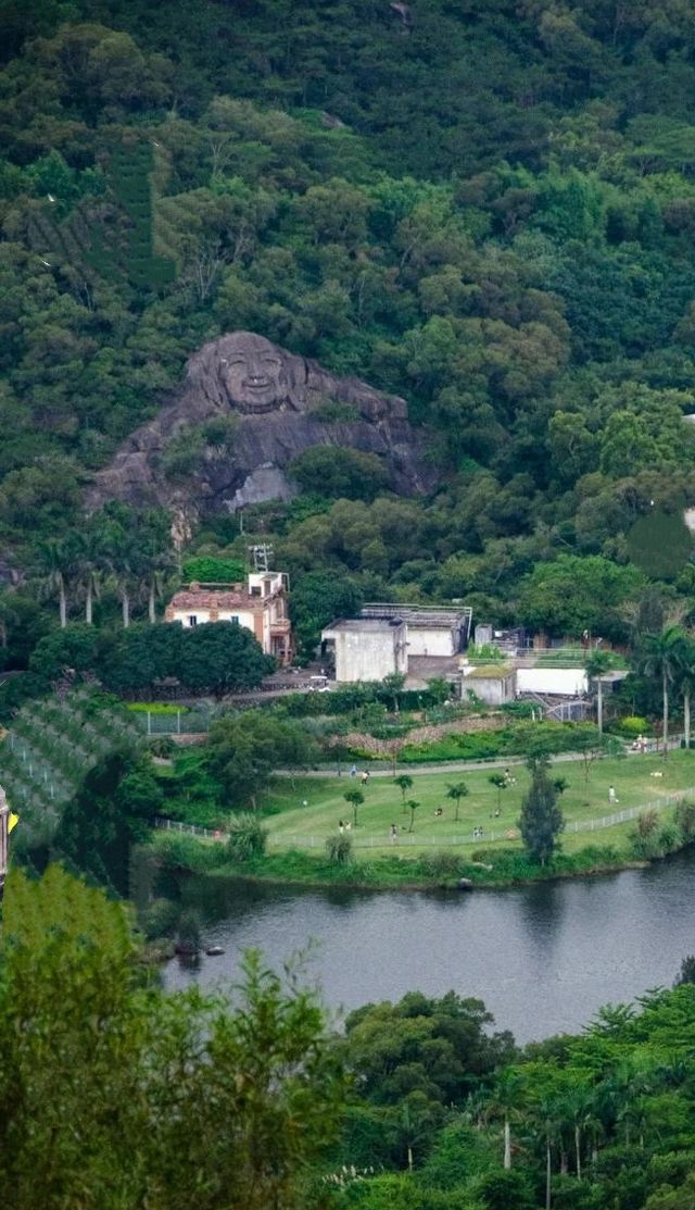 高山水庫變成了湖·高空步道美景盡收