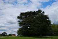 Visit to Highclere Castle, the Real Downton Abbey!