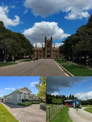 2-Day Blenheim Tour: Discover the Town's Charm