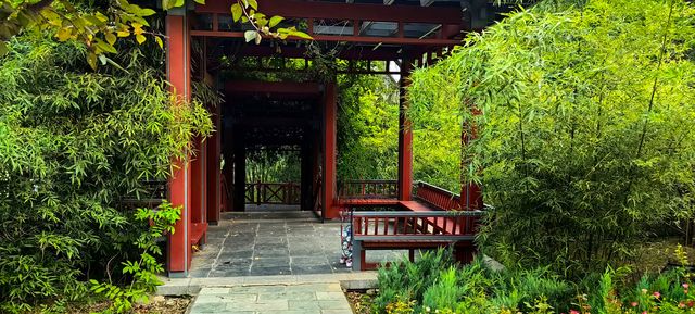 北坞公園的夏天，真美！