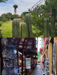 漫步墨西哥藝術之城：聖米格爾-德阿連德