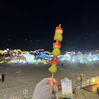 My adventure in Xilin Gol, Inner Mongolia
