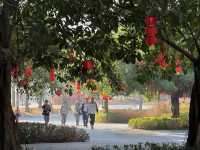 湛江紅嘴鷗遊船