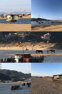 石角北江大堤灘塗：春節窮遊避擁堵好去處
