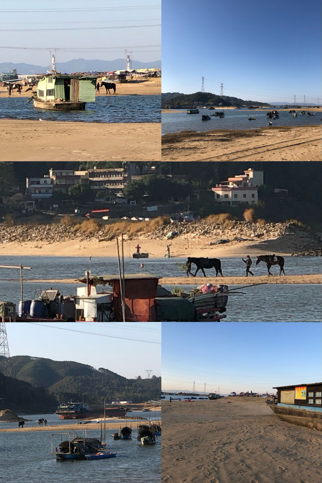 石角北江大堤灘塗：春節窮遊避擁堵好去處