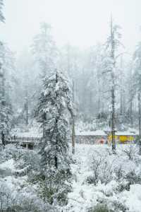 被低估嘅冰雪王國（瓦屋山）