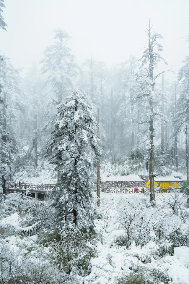 被低估嘅冰雪王國（瓦屋山）