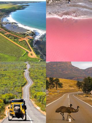 Darwin City Walk: Explore Australia's most tropical city in one day!