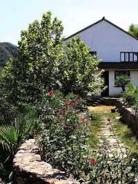 寒假要去湖州-杭州 保姆級旅遊攻略來啦