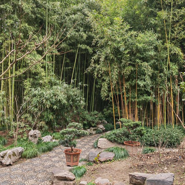 冬天的曲水園 冬天的曲水園