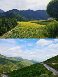 去遮陽山，看不一樣的山，享受清歡