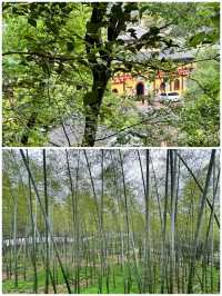 中國佛教「淨土宗」的發祥地~鄂州西山風景區
